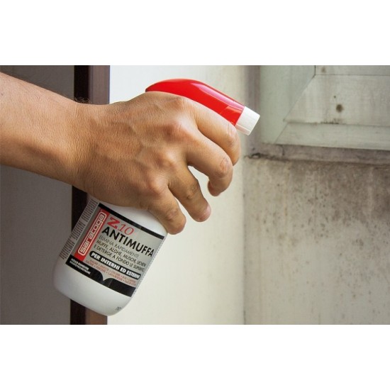 Z10 Saratoga - Antimuffa Spray