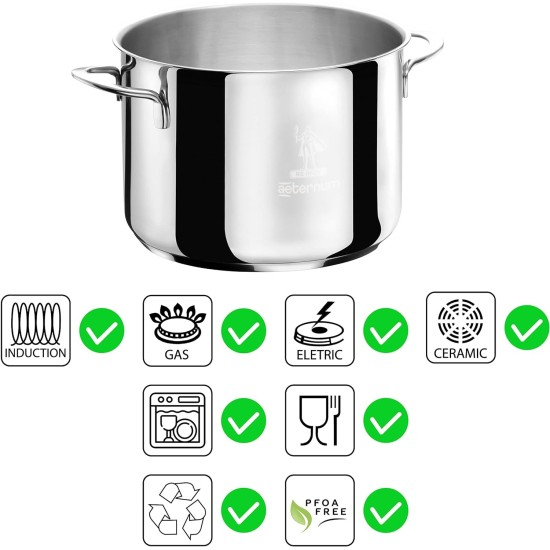 informazioni su quale piano cottura puo essere usata Aeternum Pentola La divina