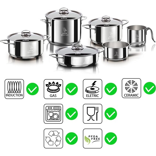 Aeternum Divina Batteria per Induzione raffigurazione delle compatibilità