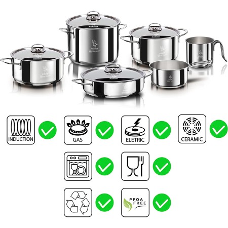 Aeternum Divina Batteria per Induzione raffigurazione delle compatibilità