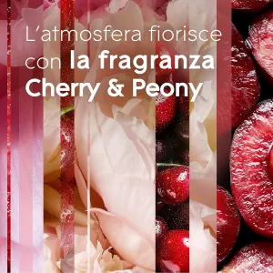 Glade Automatic Spray Ricarica, Fragranza Luscious Cherry e Peony - Confezione 269ml 2