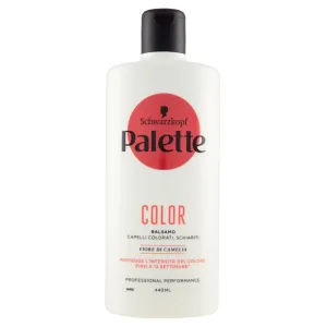 Palette Balsamo Color per Capelli Coloratio Schiariti - 440ml