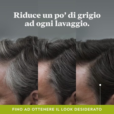 Just For Men Control GX Shampoo Colorante Graduale 118ml