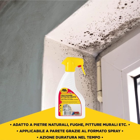 quando usare Fila Active2