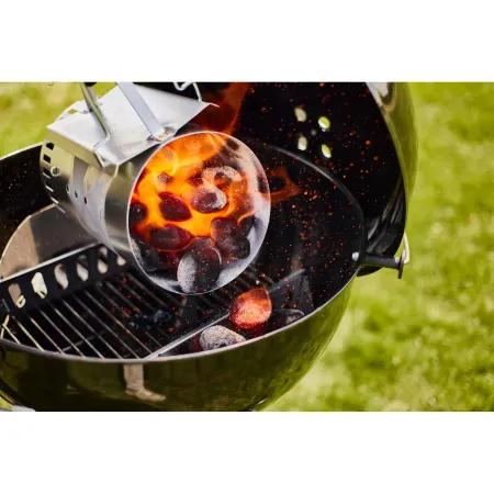 Weber Bricchette Carbone Cocco pronte