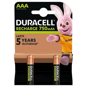 MiniStilo Ricaricabili AAA Duracell 750 mAh