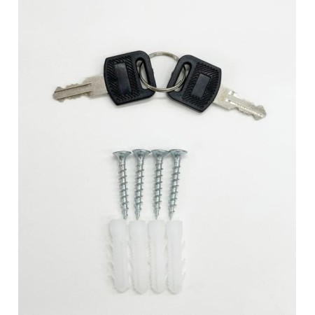 Chiavi di sicurezza e viti in dotazione per la cassetta postale condominiale