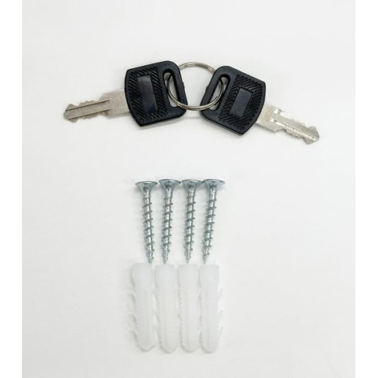 Chiavi e tasselli in dotazione con La cassetta della posta in Alluminio.