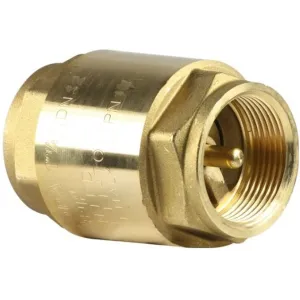 Valvola Unidirezionale - Valvola Ritegno Acqua da 1 Pollice