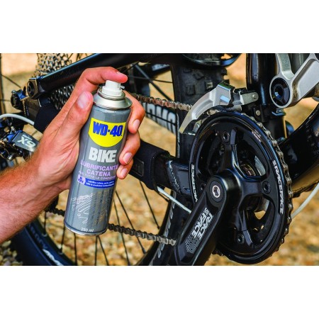 Wd40 bike per Catena Bici