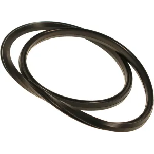 Guarnizione Originale Aeternum e Bialetti per Pentola a Pressione