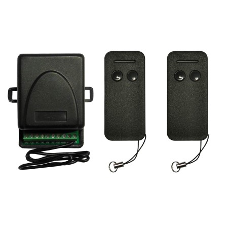 Bravo Kit Centralina Ricevente Bicanale Da Interno 2 Telecomandi 433mhz 90502169