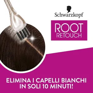 Ritocco Ricrescita Castano Dorato 2