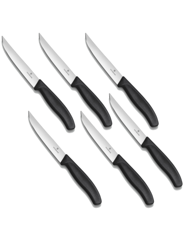 Set professionale coltelli Victorinox
